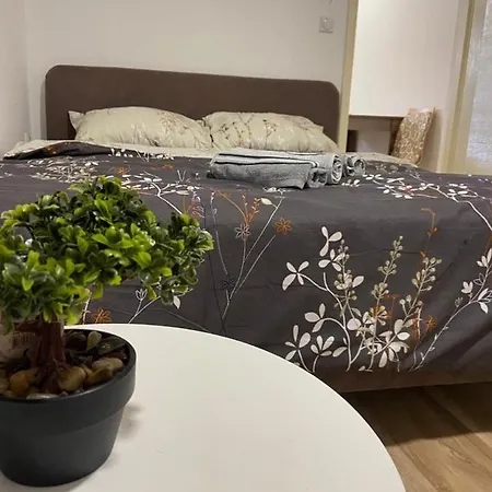 Asper Apartment Soko Banja